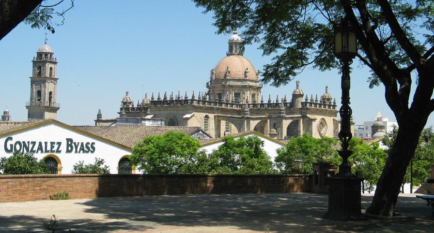 Apartamento En Jerez De La Frontera Oda fotoğraf